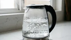 Água fervida: perigosa ou não? Desmistificando os mitos em que milhões de pessoas acreditam